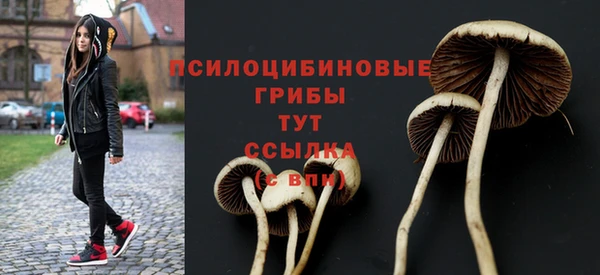 прущая мука Няндома