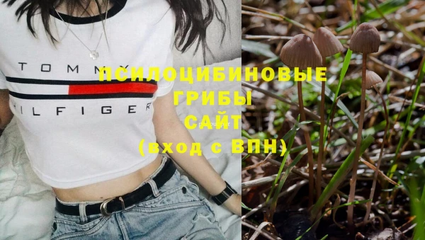 стафф Нязепетровск