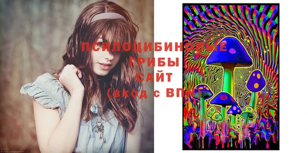 прущая мука Няндома