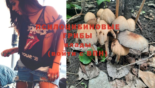 стафф Нязепетровск