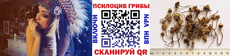 это какой сайт  ОМГ ОМГ ТОР  Котовск  Галлюциногенные грибы Cubensis 